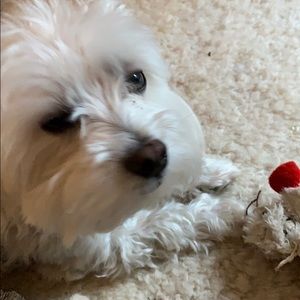 Meet your Posher, Mark